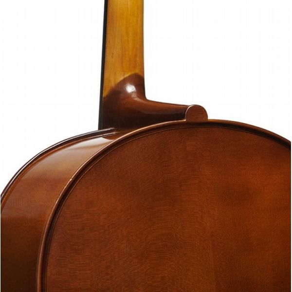 Stentor Student II Cello Outfit