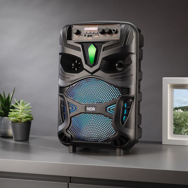 RED5 Wireless Karaoke Speaker with Microphone and LED Colour Changing Lights